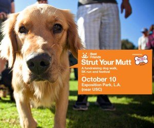 Strut Your Mutt LA 2015